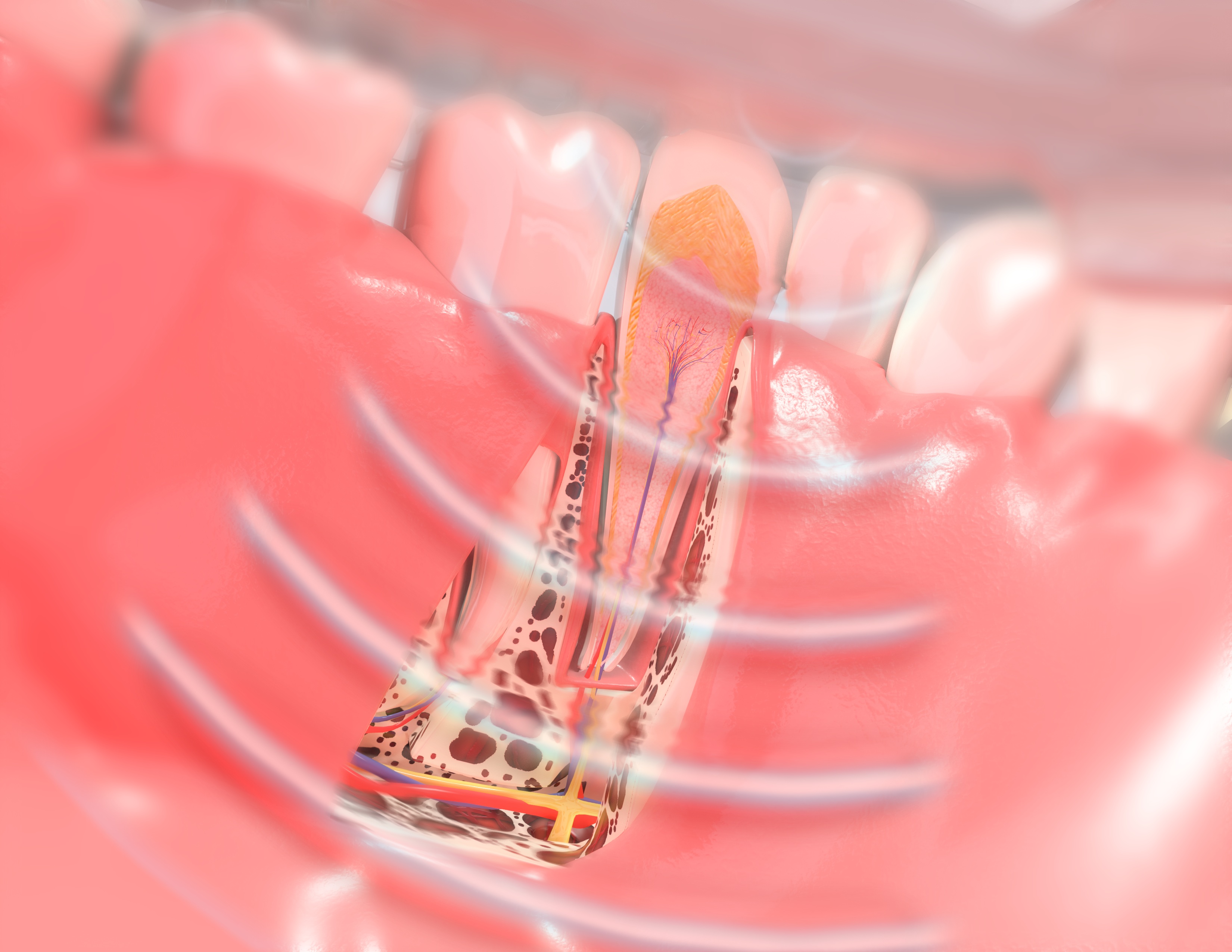 SoftPulse Technology at Berkman & Shapiro Orthodontics, Commerce Township, MI 48382